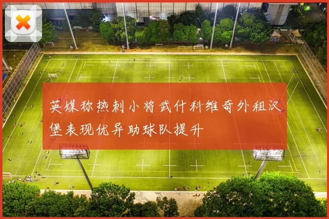 英媒称热刺小将武什科维奇外租汉堡表现优异助球队提升