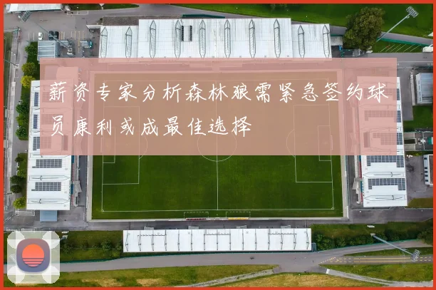 薪资专家分析森林狼需紧急签约球员康利或成最佳选择